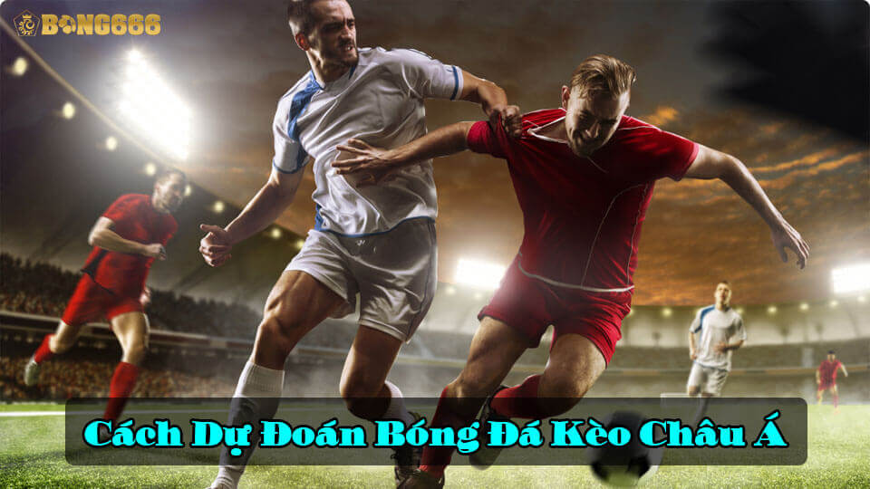 Cách dự đoán kèo bóng đá châu Á