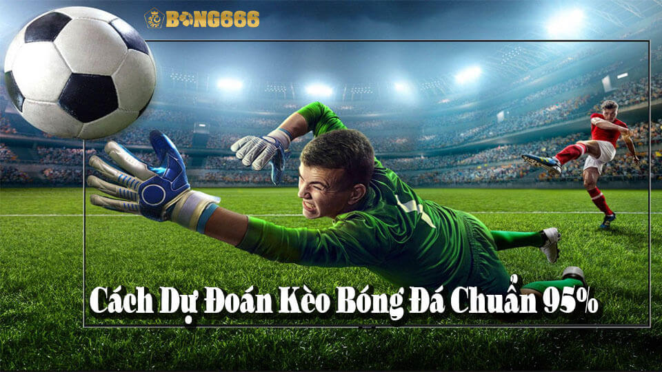 Cách Dự Đoán Bóng Đá Chuẩn Xác 95% Cho Các Kèo Nhà Cái