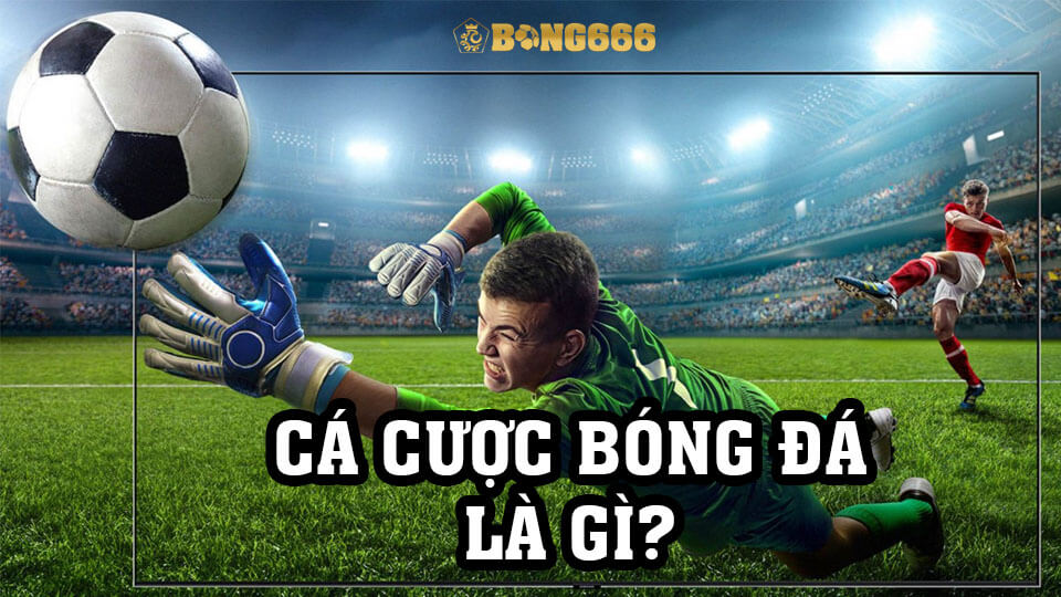 Cá Cược Bóng Đá Và Những Điều Bet Thủ Cần Biết | Bong666