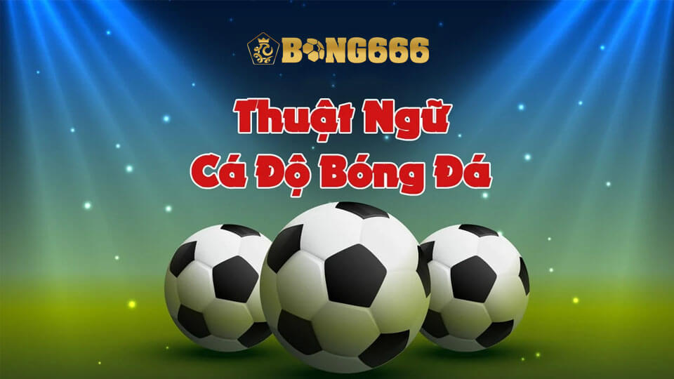 Tổng Hợp Thuật Ngữ Cá Độ Bóng Đá Thường Gặp | Bong666