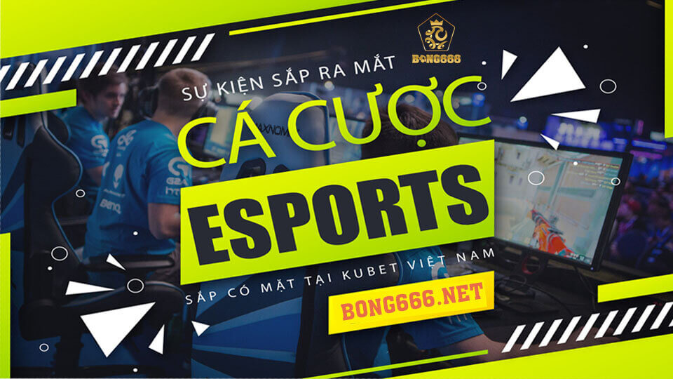 Cá Cược Esports - Thông Tin Về Cá Cược Thể Thao Điện Tử Đẳng Cấp