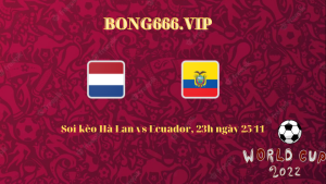 Soi kèo Hà Lan vs Ecuador, 23h ngày 25/11