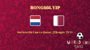 Soi kèo Hà Lan vs Qatar, 22h ngày 29/11