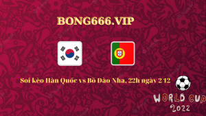 Soi kèo Hàn Quốc vs Bồ Đào Nha, 22h ngày 2/12. Ảnh 1